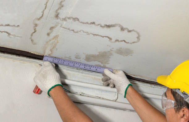 Reliable Flood Cleanup contractor in Mead, CO by Water Damage Irwin